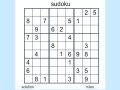 Sudoku-Spiel 2 Spiel